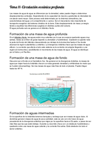 Tema-11-Circulacion-oceanica-profunda.pdf
