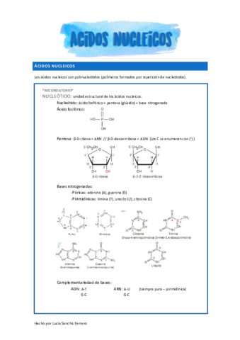 ACIDOS-NUCLEICOSS.pdf