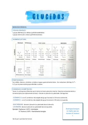 GLUCIDOS.pdf