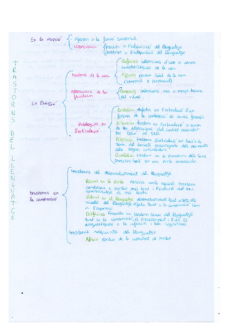 Esquema-TRASTORNS-DEL-LLENGUATGE.pdf