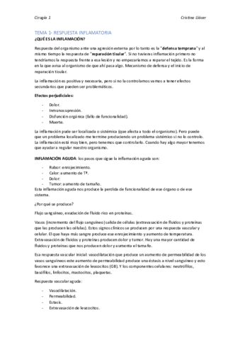 TODO-UNIDO-.pdf