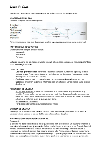 Tema-13-Olas.pdf