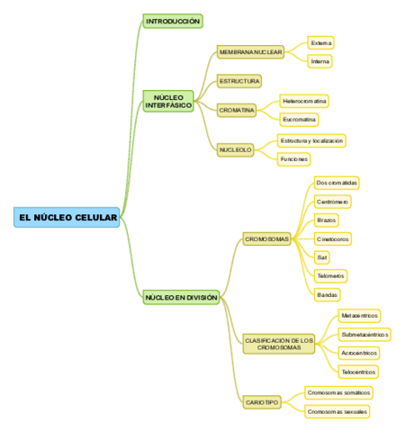 EL-NUCLEO-CELULAR.pdf