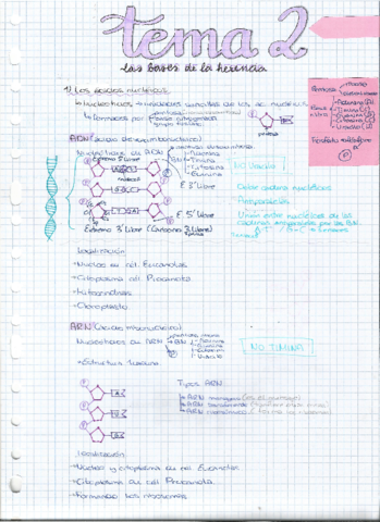 tema-2-bio.pdf