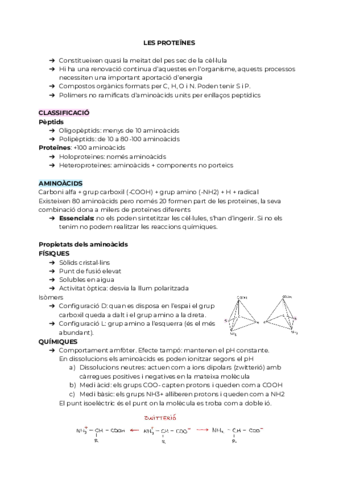 LES-PROTEINES-I-ENZIMS.pdf