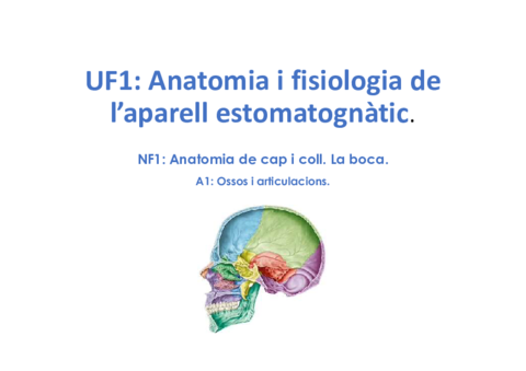 UF1NF1A1Ossos-del-crani-i-la-cara.pdf