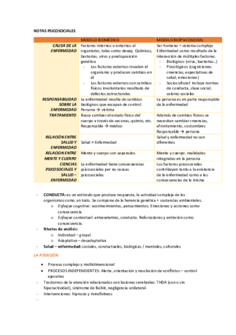 Apuntes-psicosociales.pdf