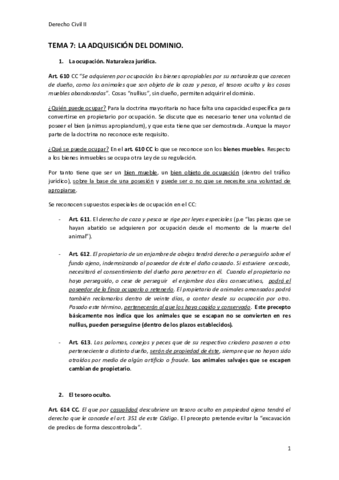 TEMA-7.pdf