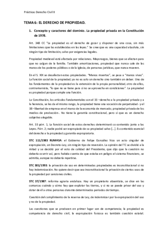 TEMA-6.pdf
