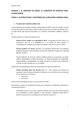 TEMA-2.pdf