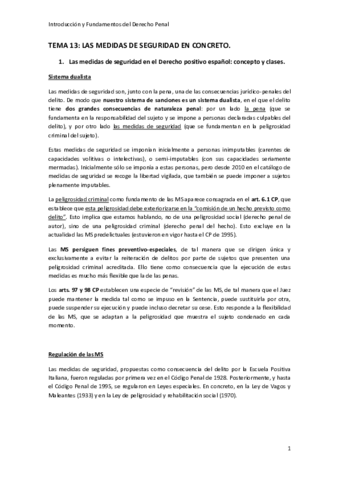 TEMA-13.pdf