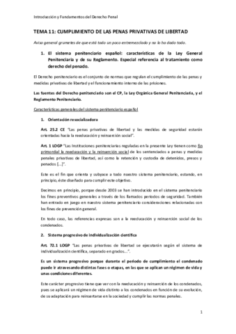 TEMA-11.pdf