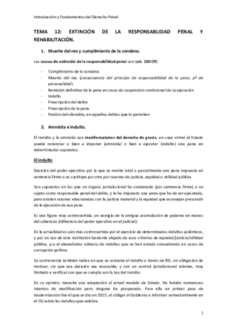 TEMA-12.pdf