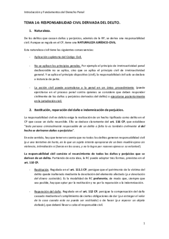 TEMA-14.pdf