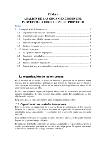 Tema4Analisis-de-las-organizaciones-del-proyecto.pdf