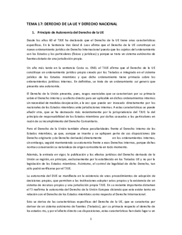 TEMA-17.pdf