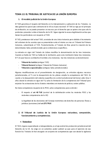 TEMA-12.pdf