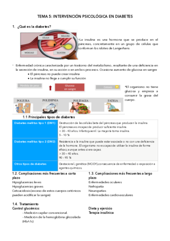 tema-5-diabetes.pdf
