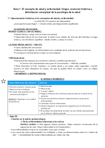 tema-1-introduccion.pdf