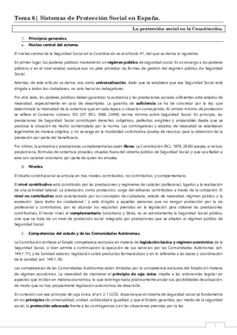 tema-6-sistemas-de-proteccion-social.pdf