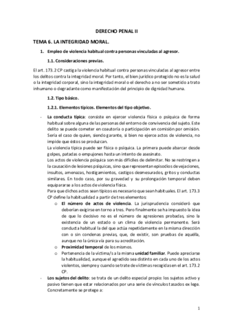 Tema-6-Penal.pdf