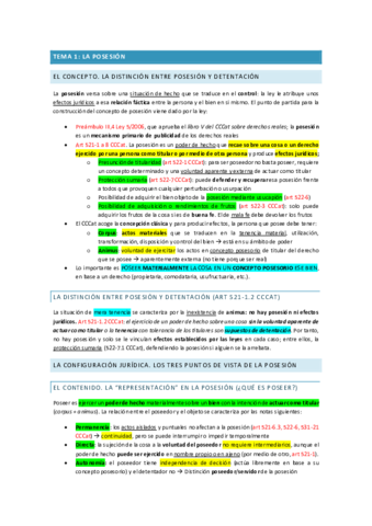 Examen-final-temario.pdf