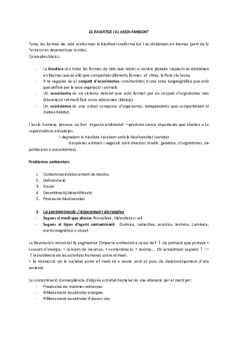 EL-PAISATGE-I-EL-MEDI-AMBIENT.pdf