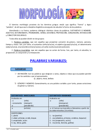 MORFOLOGIA.pdf