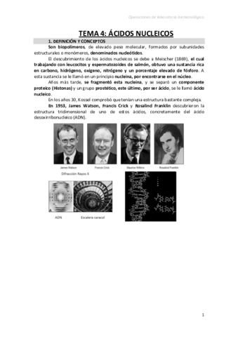 Tema4ACIDOS-NUCLEICOS.pdf