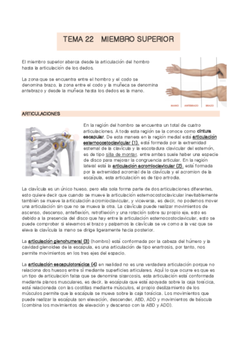 TEMA-22-anatomia.pdf