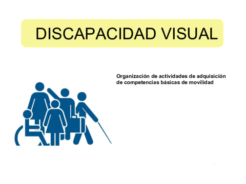 discapacidad-visual.pdf