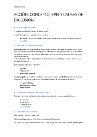 ACCION-RPPJ--TIPO-PENAL-Y-CLASES.pdf