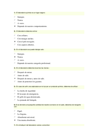Cuestionario-seguridad-1.pdf