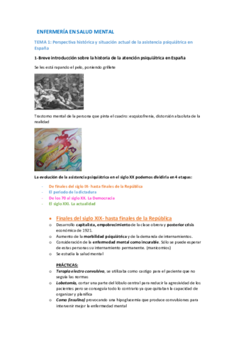 TODOS-APUNTES-SALUD-MENTAL.pdf