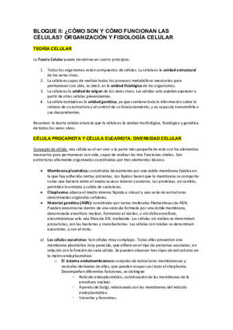 Bloque-II.pdf