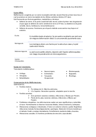 Tema-8-Resumen.pdf