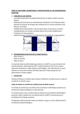 TEMA-10.pdf