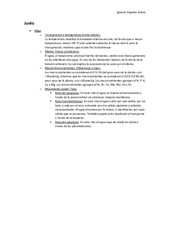 Preguntas-cortas.pdf