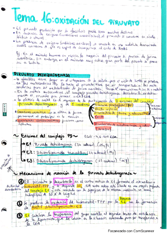 CamScanner-01-23-2021-08.pdf