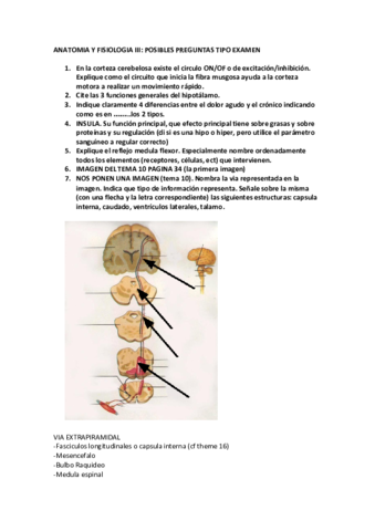 examen-anatomia-y-fisiologia-III2305843009213703469.pdf