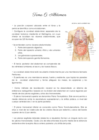 UD6-SMPL.pdf