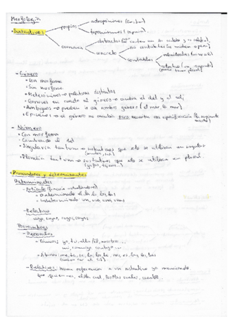 MORFOLOGIA.pdf
