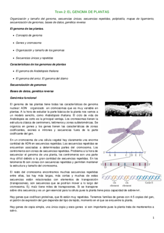 Tema 2. Bio Molecular.pdf