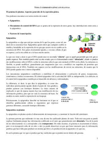 Tema 3. Bio Molecular.pdf