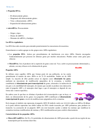 Tema 3.1. Bio Molecular.pdf