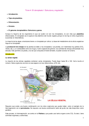 Tema 4. Bio Molecular.pdf
