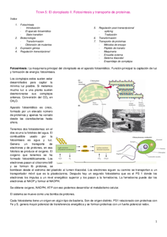 Tema 5. Bio Molecular.pdf