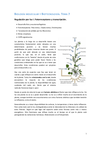 Tema 7. Bio Molecular.pdf