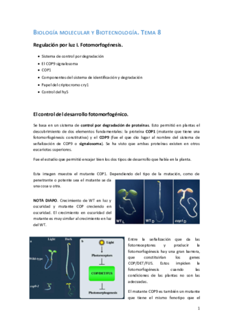 Tema 8. Bio Molecular.pdf