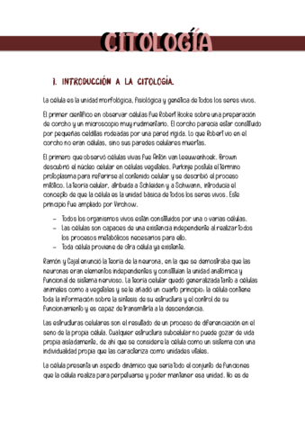 TEMA-2.pdf